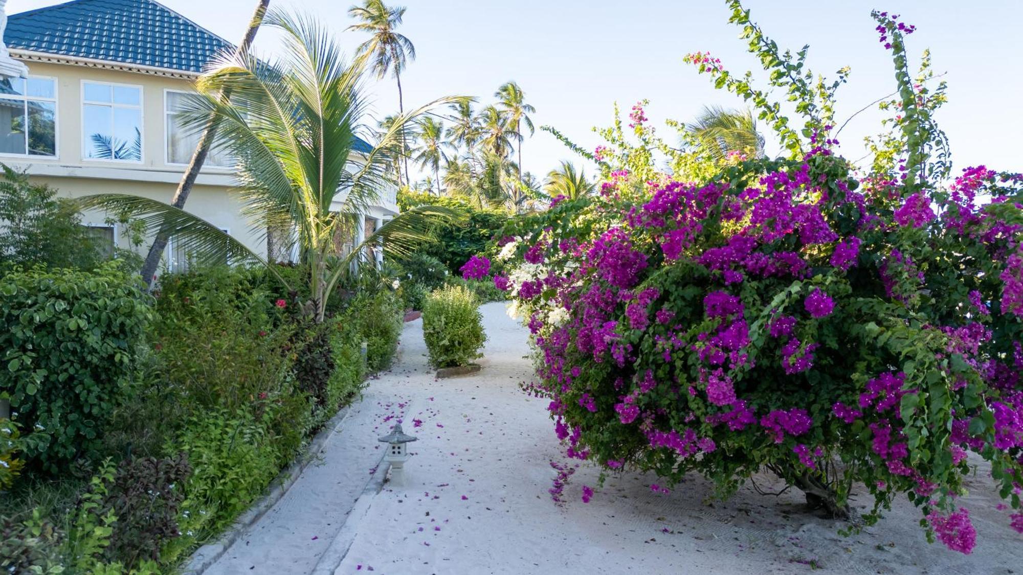 Готель Jafferji Beach Retreat, Матемве Екстер'єр фото